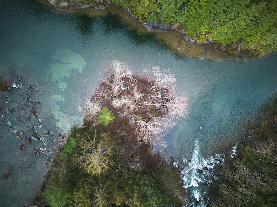 david-schostek-barbers-hole-on-the-puntledge-river